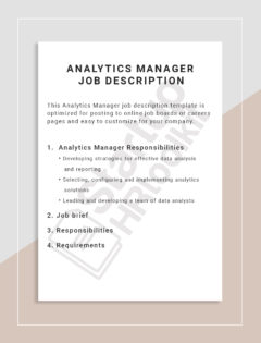 Analytics Manager Job description